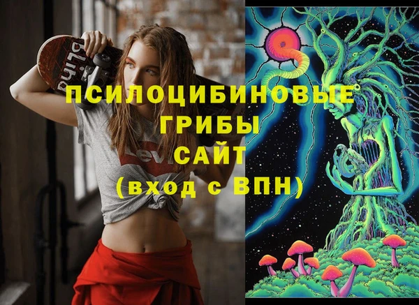 круглые Аркадак
