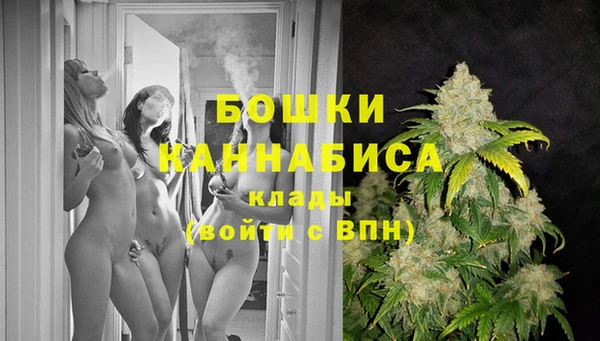 круглые Аркадак