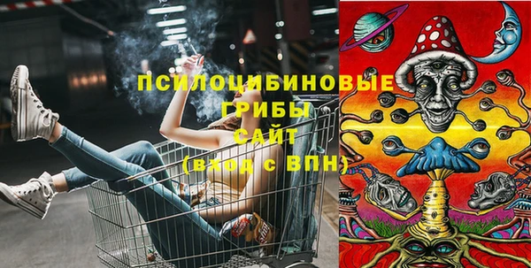 МДМА Арсеньев