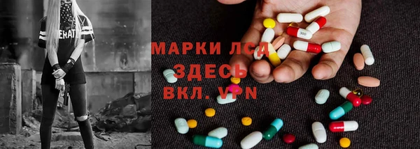 молекула духа Новозыбков