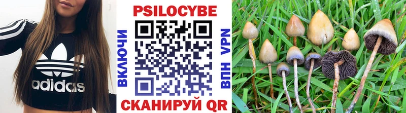 Галлюциногенные грибы Magic Shrooms  Рославль 